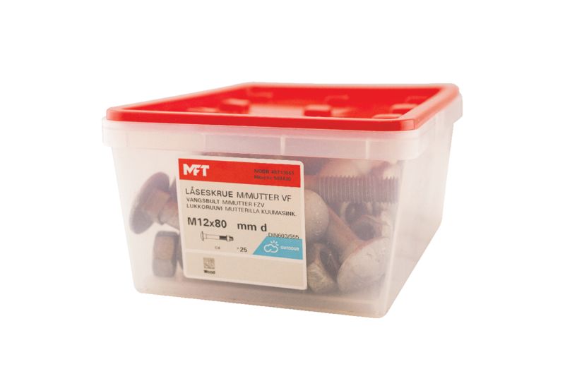 508430 Låseskrue m_mutter VF DIN603-555 (c)