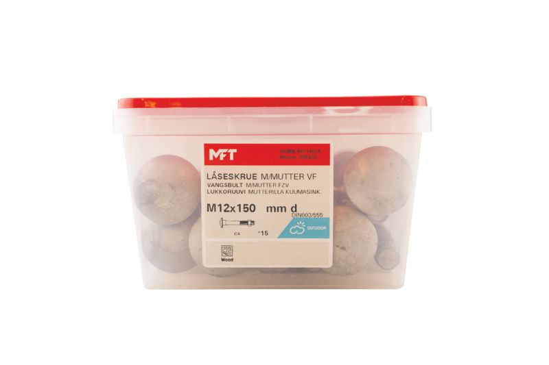 508435 Låseskrue m_mutter VF DIN603-555 (b)